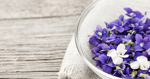 Relaxing spa services such as massage or facials.