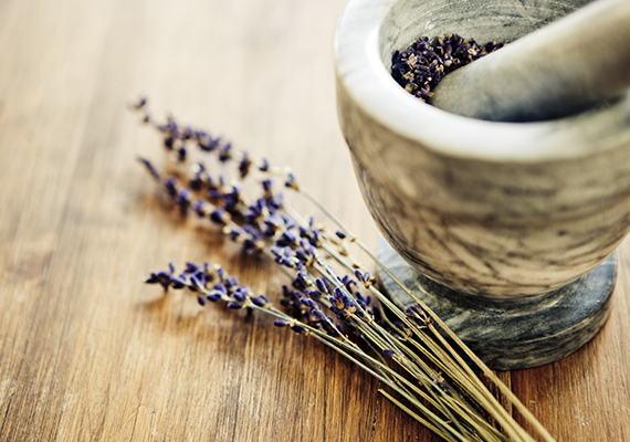 Purchase online printable gift cards.