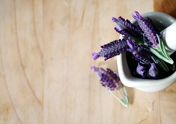 Get your new color, look or cut today.